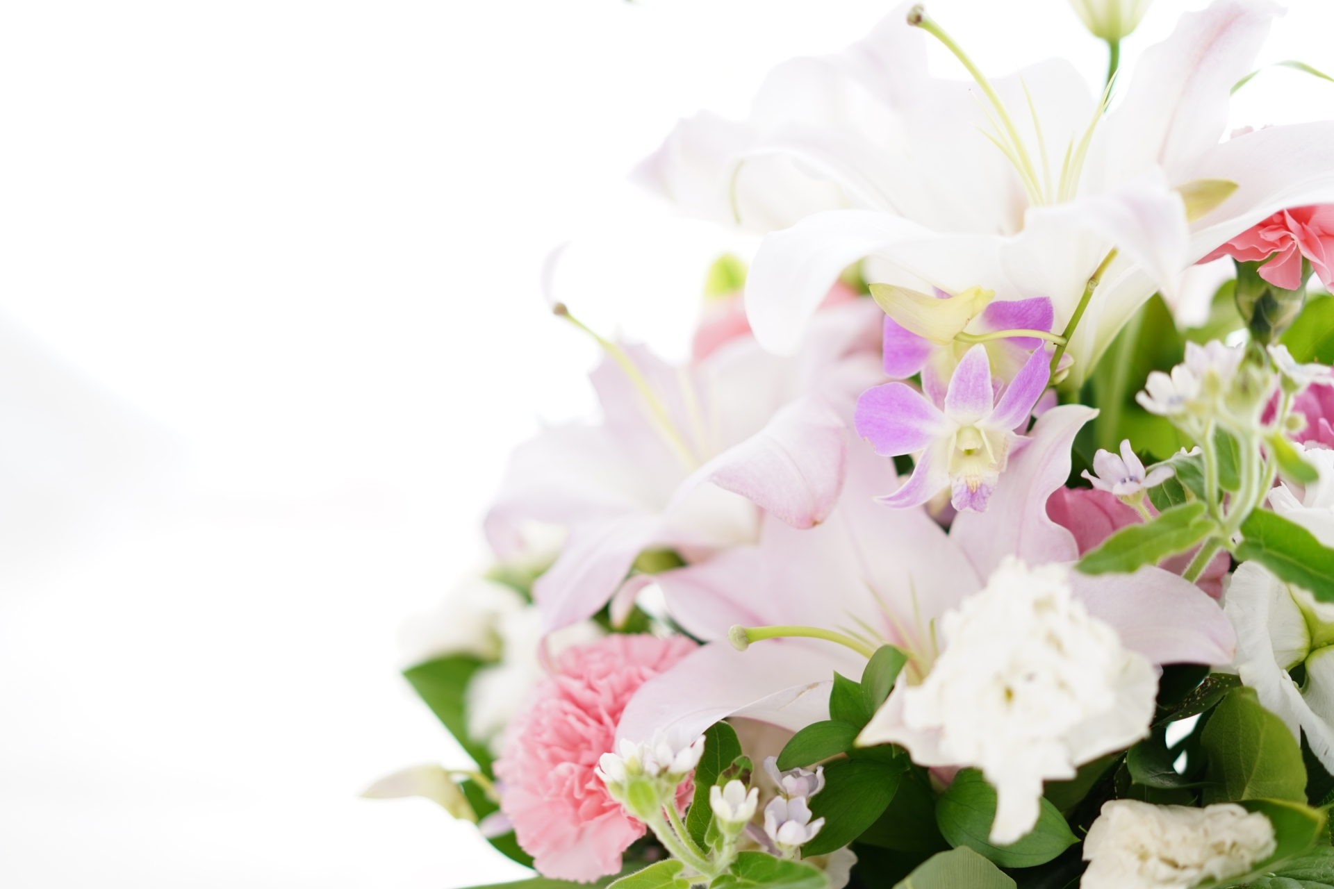 一番安い家族葬を実現する｜後悔しない選び方と7つの費用削減術