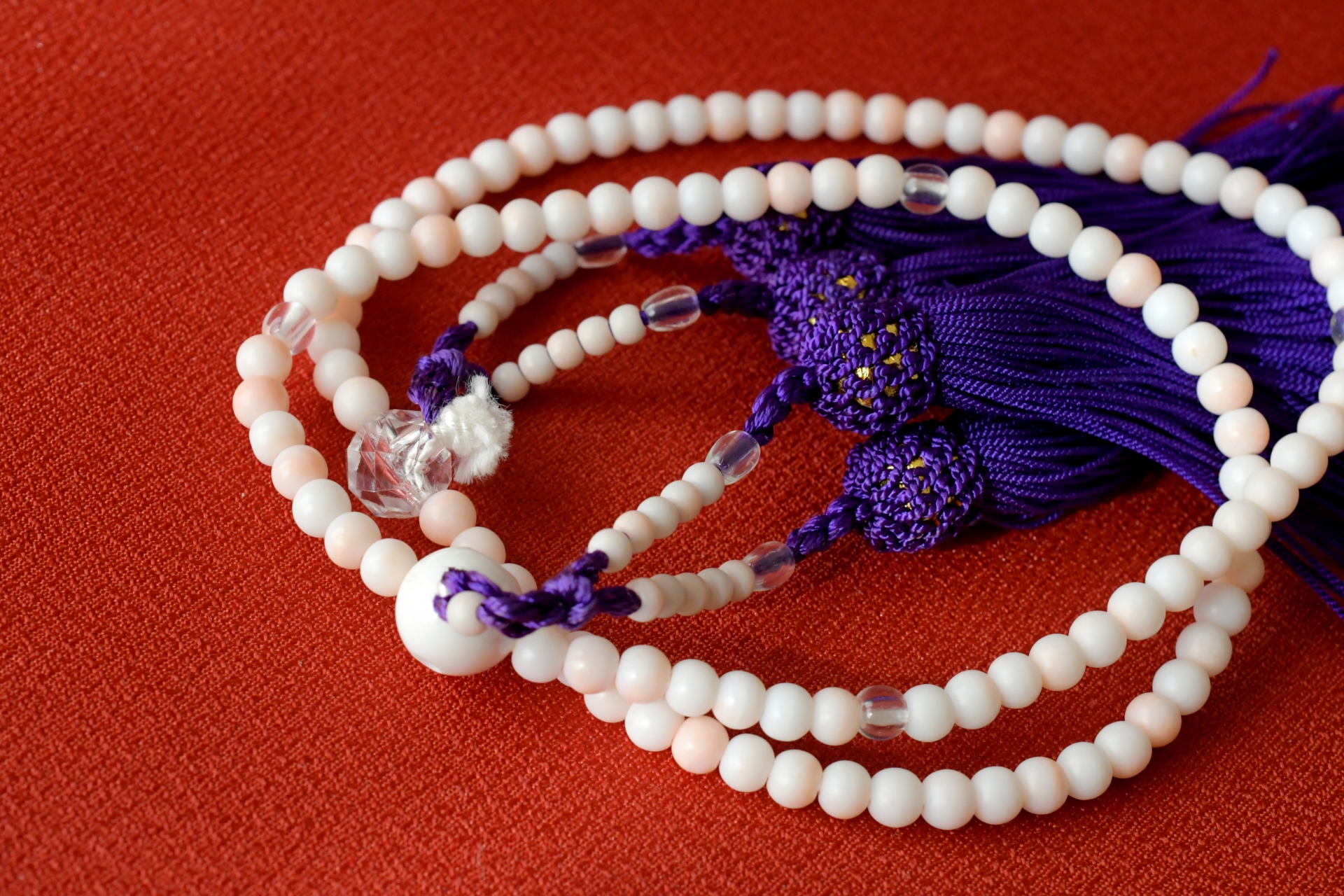 家族葬の費用相場を徹底解説｜内訳から地域差まで知っておくべき全知識