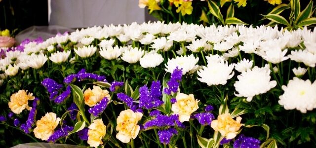 家族葬10人の費用内訳|何にいくらかかる?