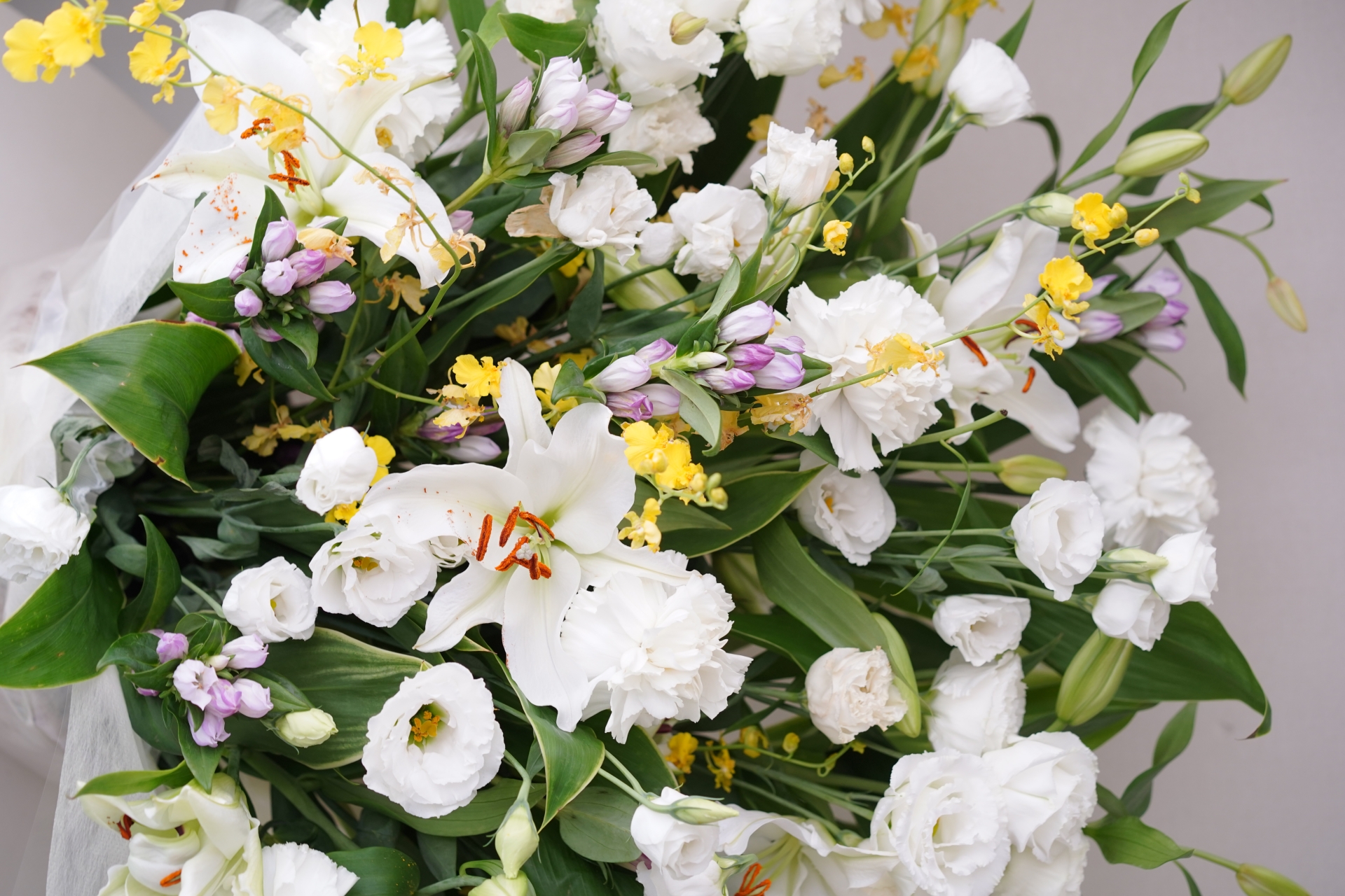 家族葬と一般葬の費用はどう違う？内訳・相場・節約術を徹底解説