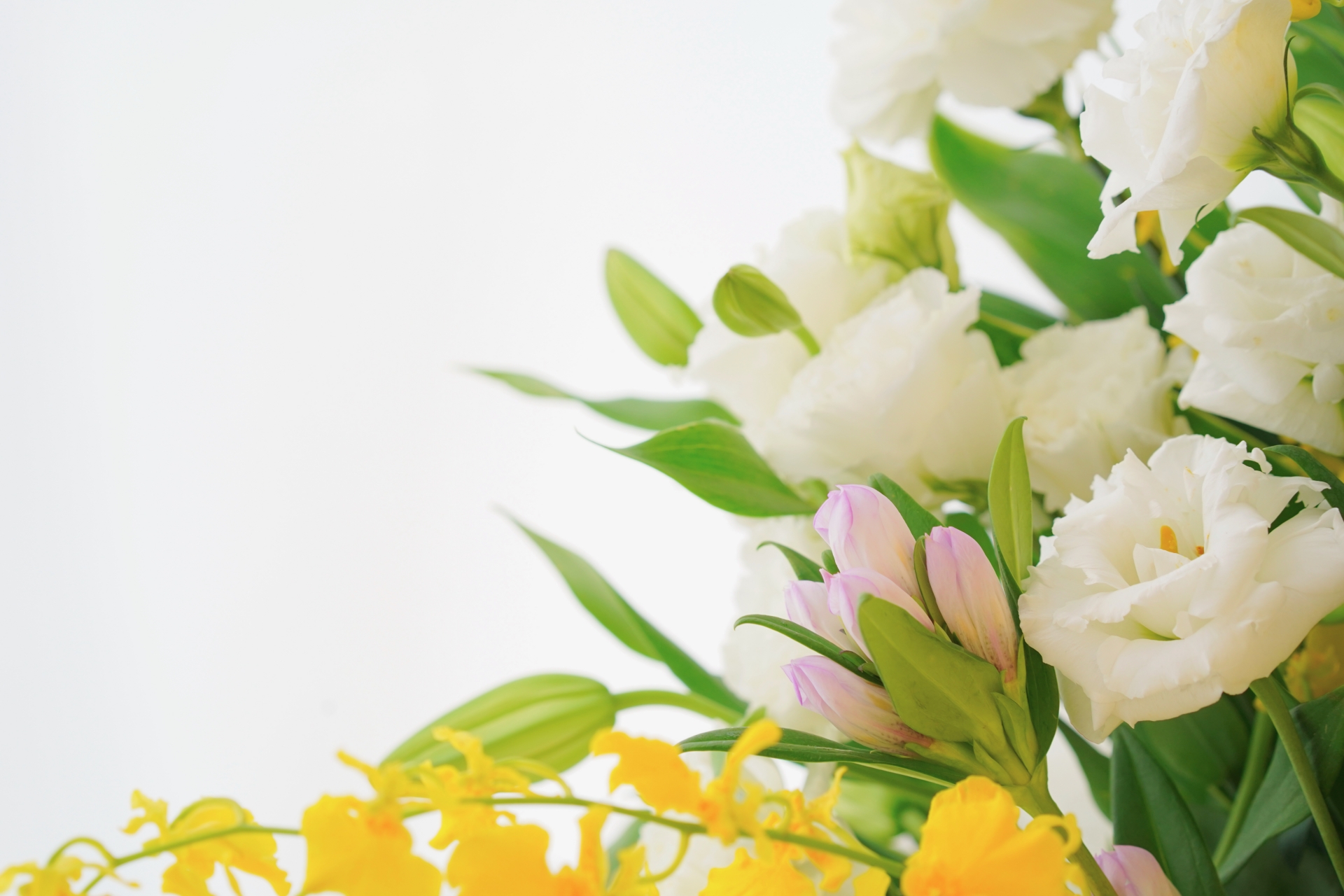 家族葬の値段はいくら？後悔しない費用の全内訳と節約術