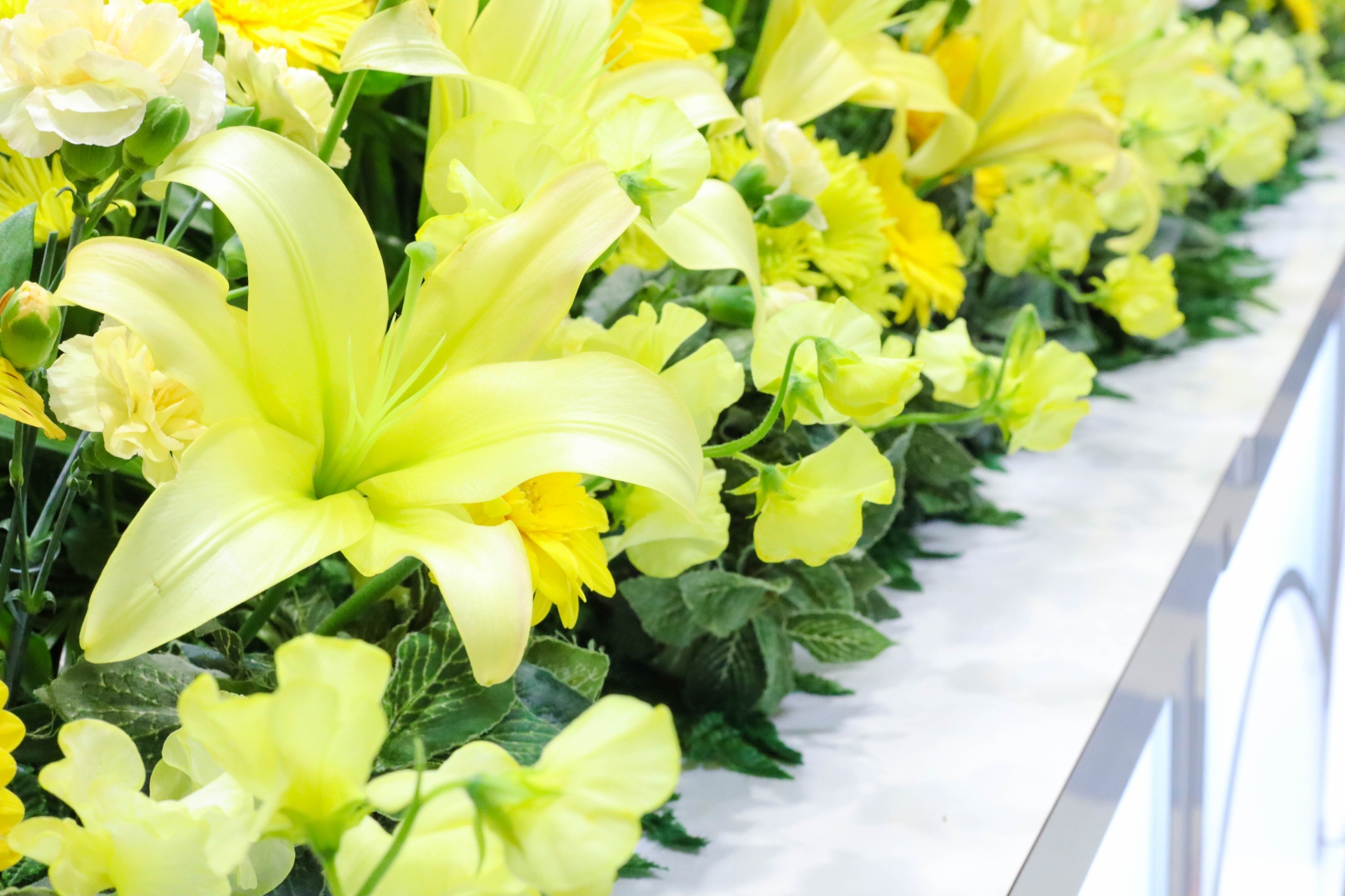 家族葬の平均金額はいくら？費用内訳と人数別の目安を完全解説