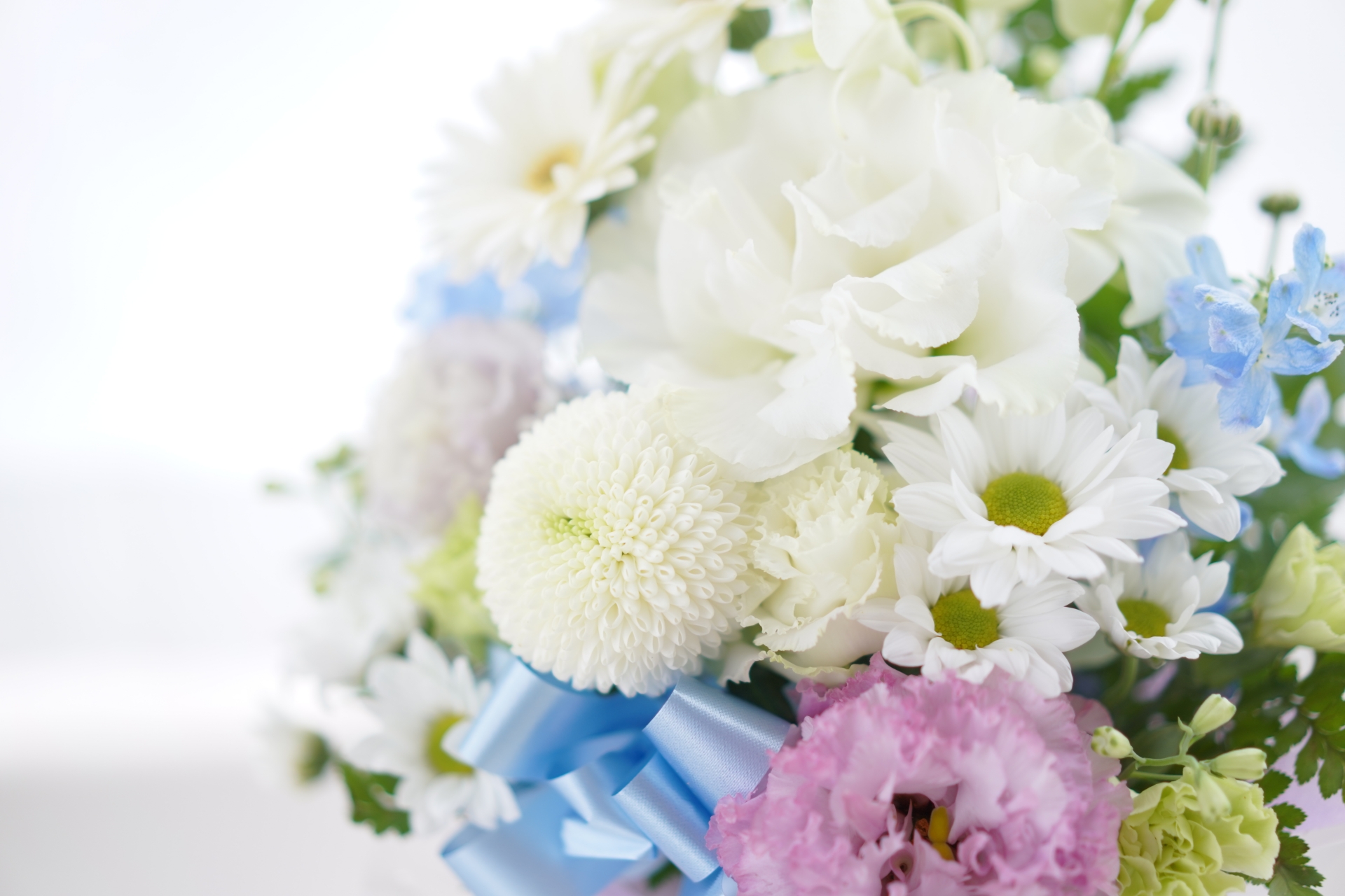 家族葬にかかる費用の相場と内訳を完全解説！節約術も詳しく紹介