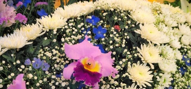 家族葬の費用を納得価格に抑えるための「見直し3ステップ」